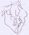 no2kzentai.jpg
