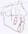 no4kzentai.jpg