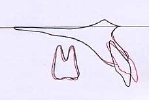no5kjougaku.jpg