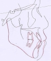 no6kzentai.jpg