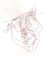 第11顔重.jpg